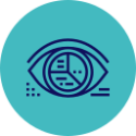 Vision Icon